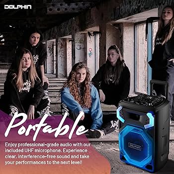 Amazon.com: Dolphin SP-3112RBT High Powered Portable